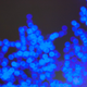 Illustration for article titled Shooting Challenge: Bokeh, Gallery 3